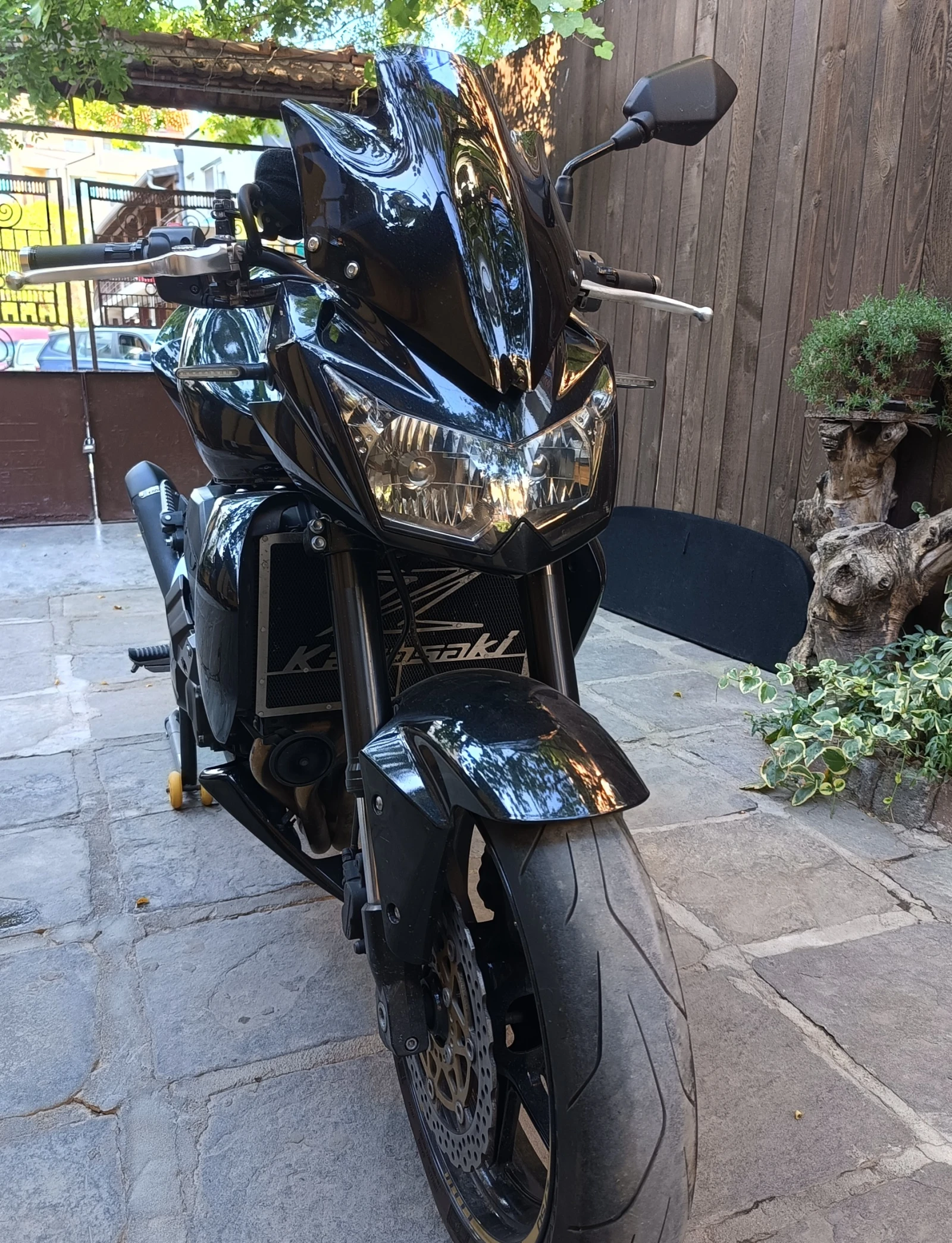 Kawasaki Z ЕВРО 3 - изображение 3