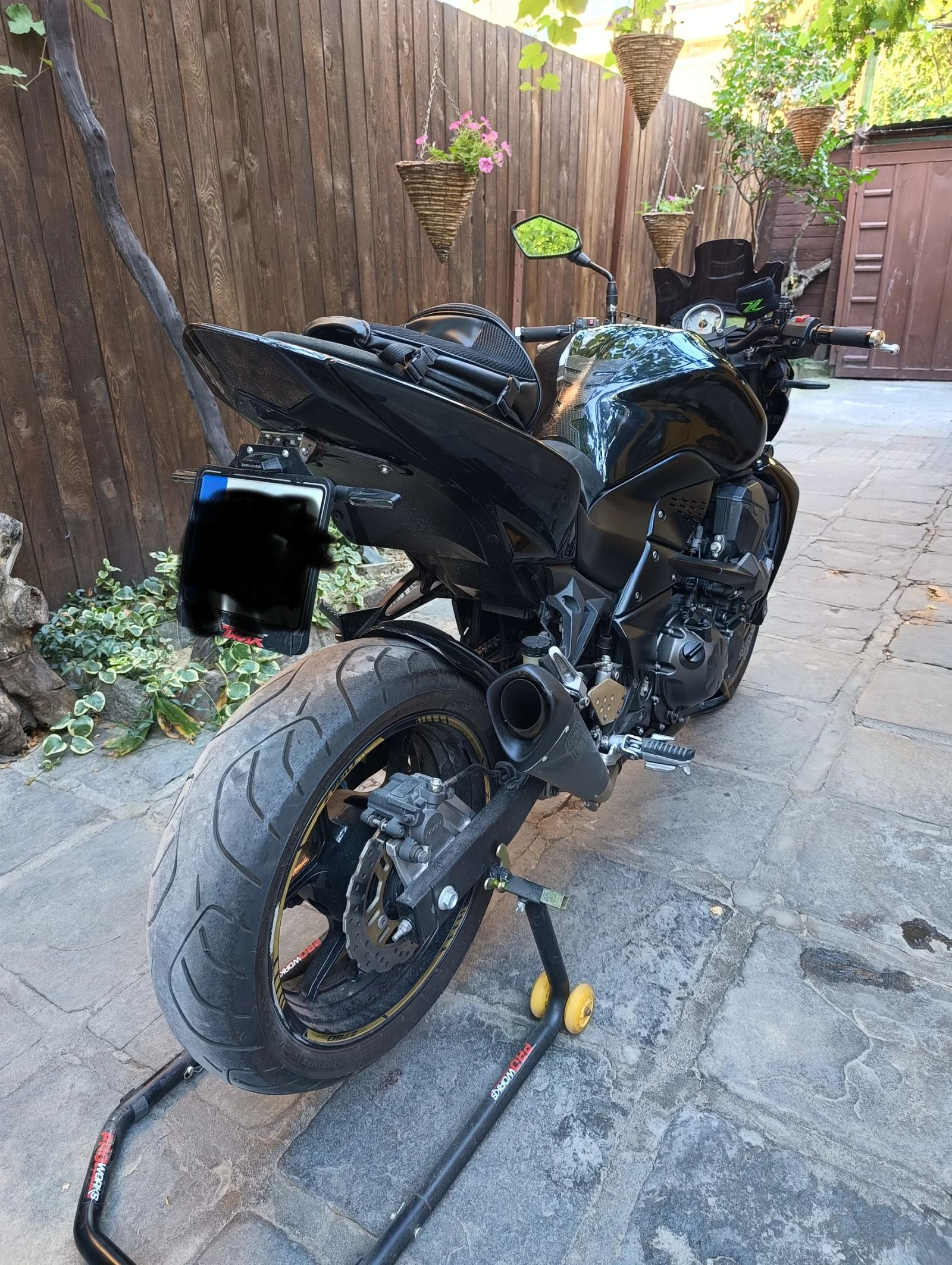Kawasaki Z ЕВРО 3 - изображение 2
