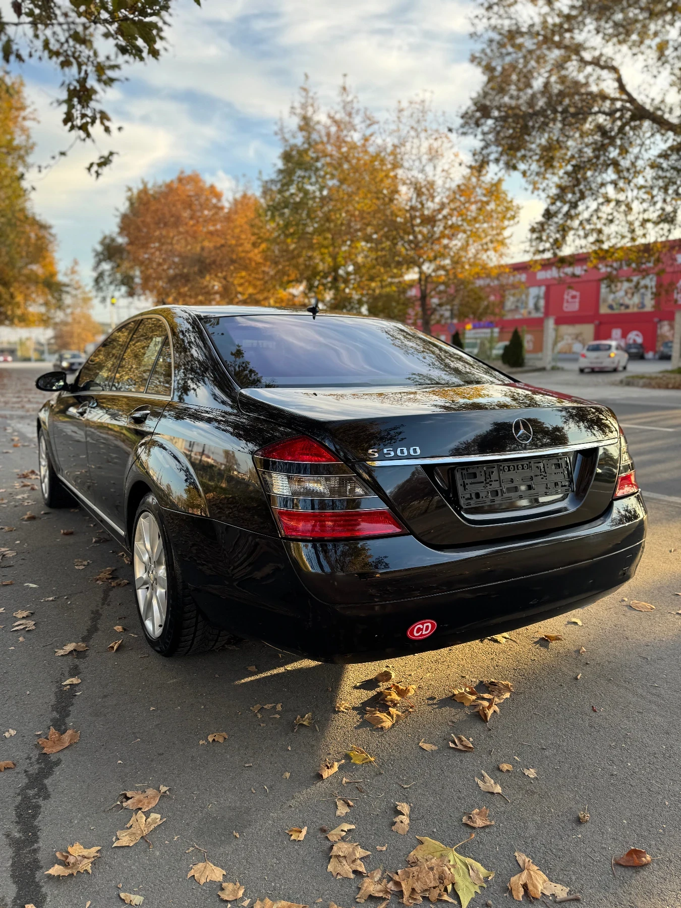 Mercedes-Benz S 500 PRESIDENTIAL LONG 174554km Germany - изображение 6