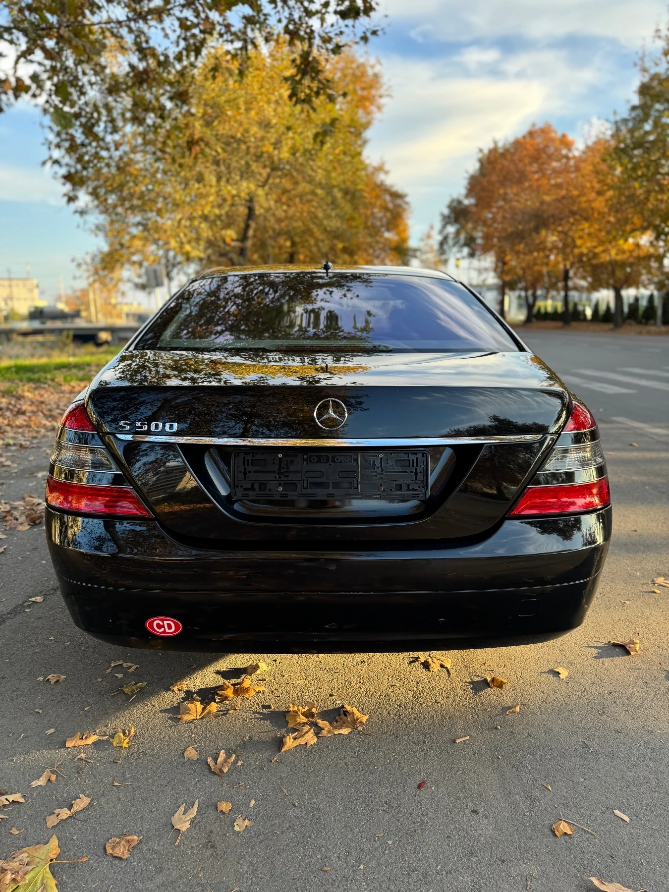 Mercedes-Benz S 500 PRESIDENTIAL LONG 174554km Germany - изображение 5