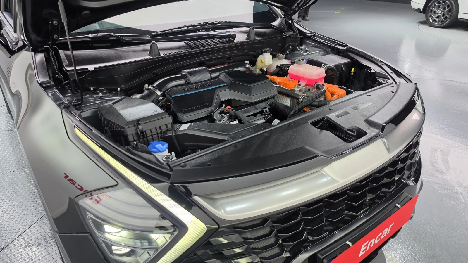 Kia Sportage Nobleless 2WD autogeorge.com, снимка 9 - Автомобили и джипове - 56117219