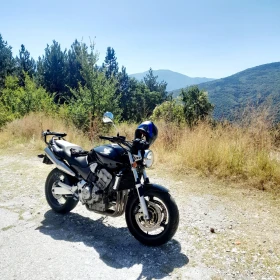  Honda Hornet