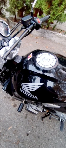 Honda Hornet  919  | Mobile.bg    6