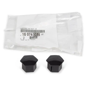        Citroen/Peugeot 540815 / 16074052XT