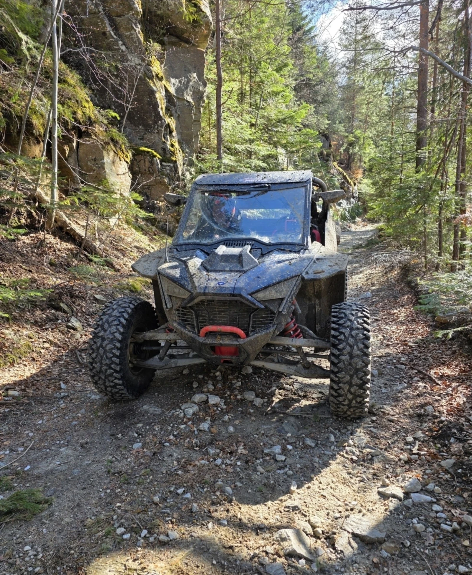 Polaris RZR Pro R ULTIMATE  - изображение 4