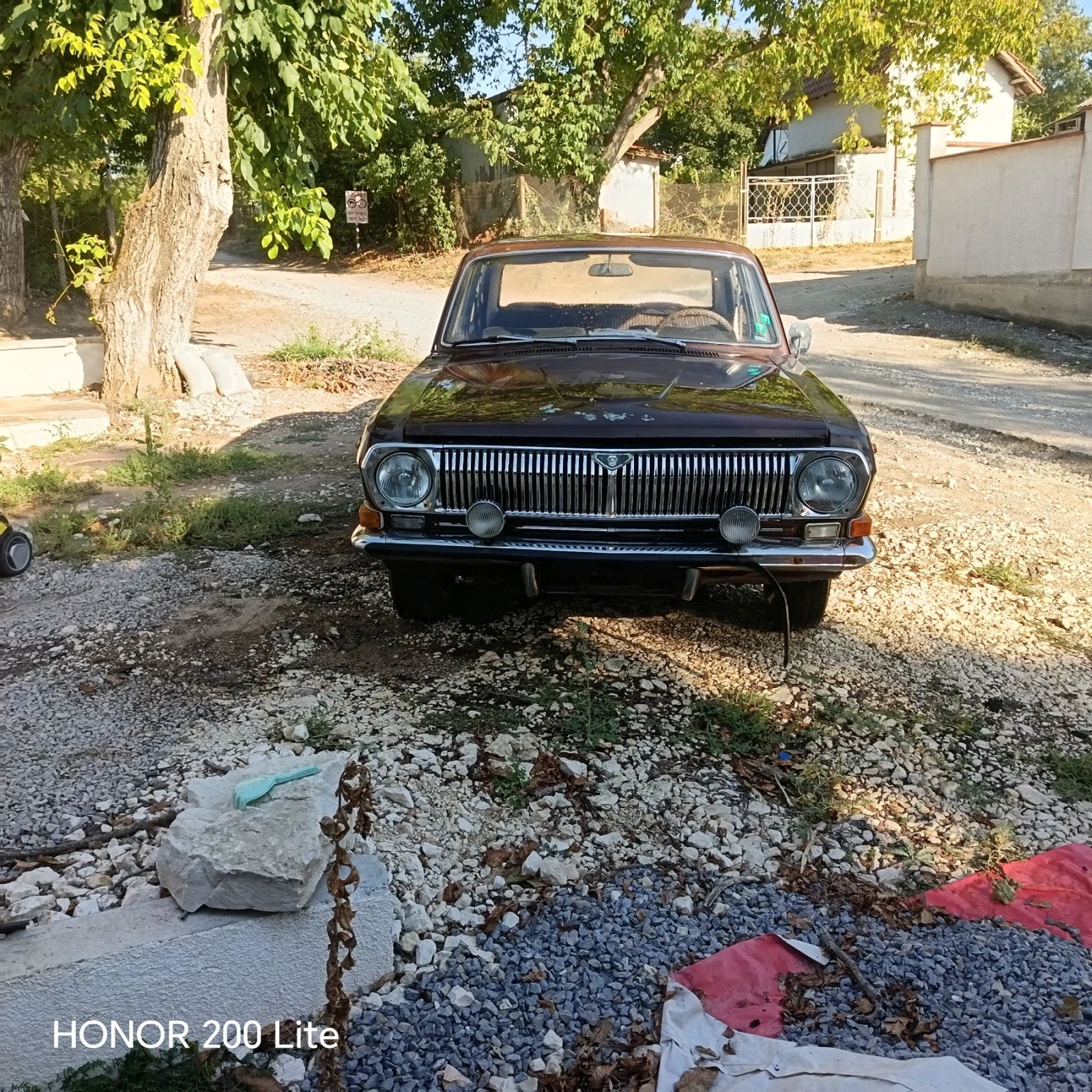 Volga 24
