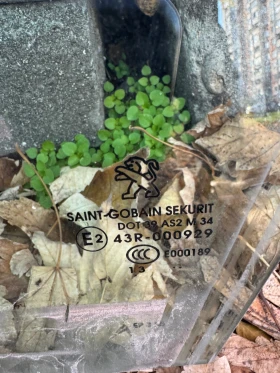 Peogeot 308 T9 2013-2018г шофьорско стъкло, снимка 2