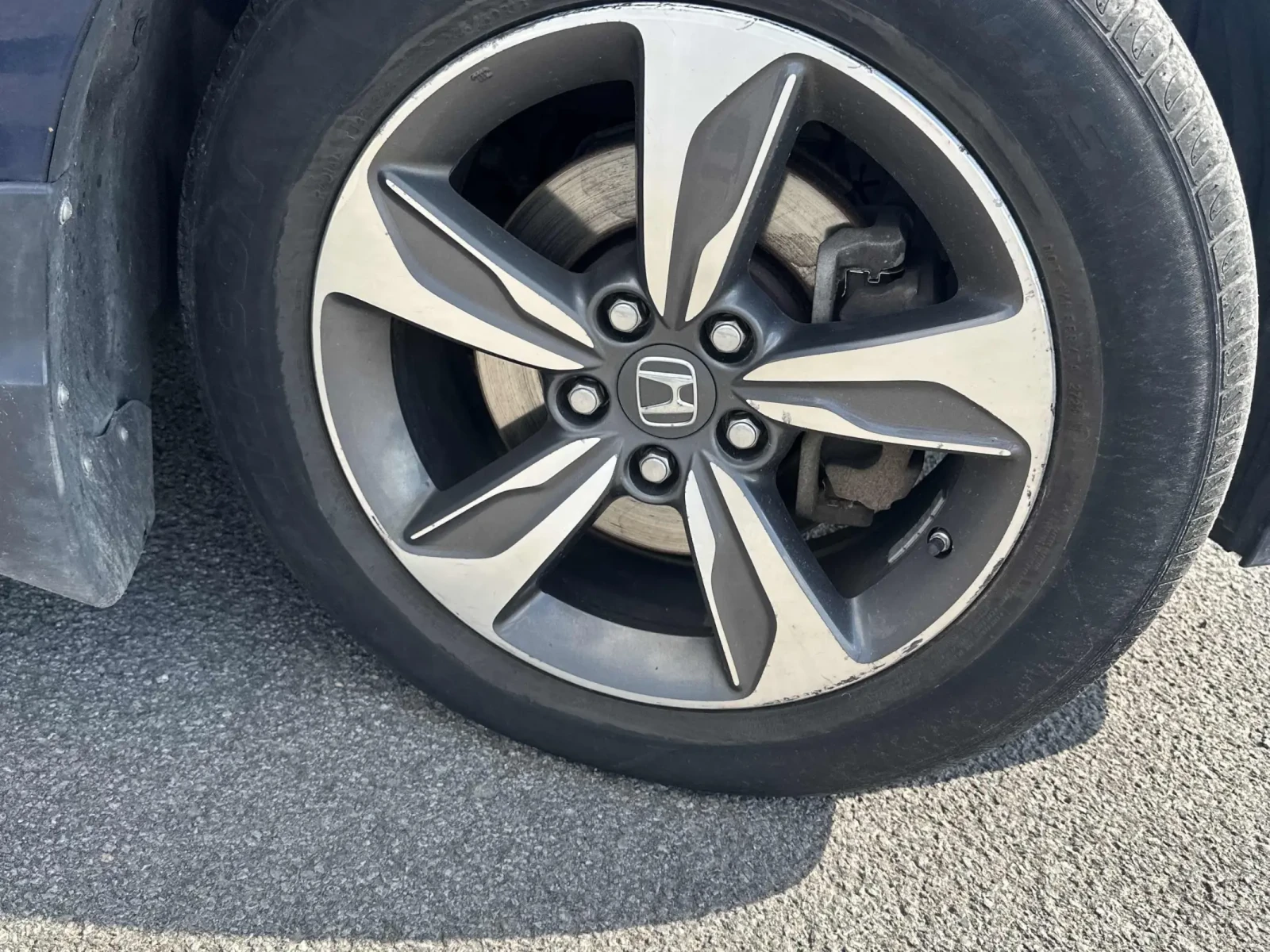 Honda Odyssey * EX-L* * АвтоКредит*  - изображение 6