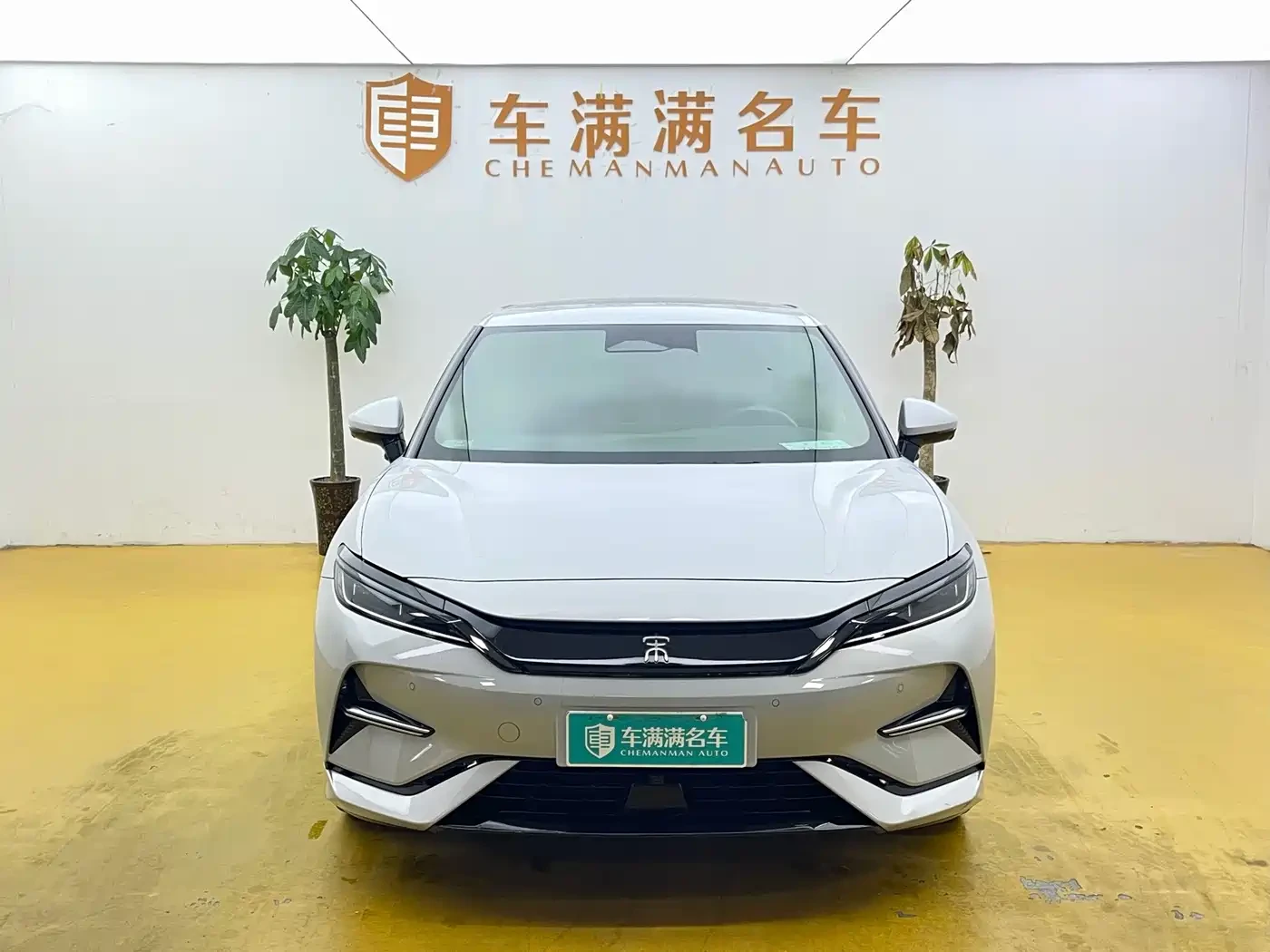 BYD Song L Smart Drive Edition 662km Surpassing Type | Mobile.bg � ����������� 2