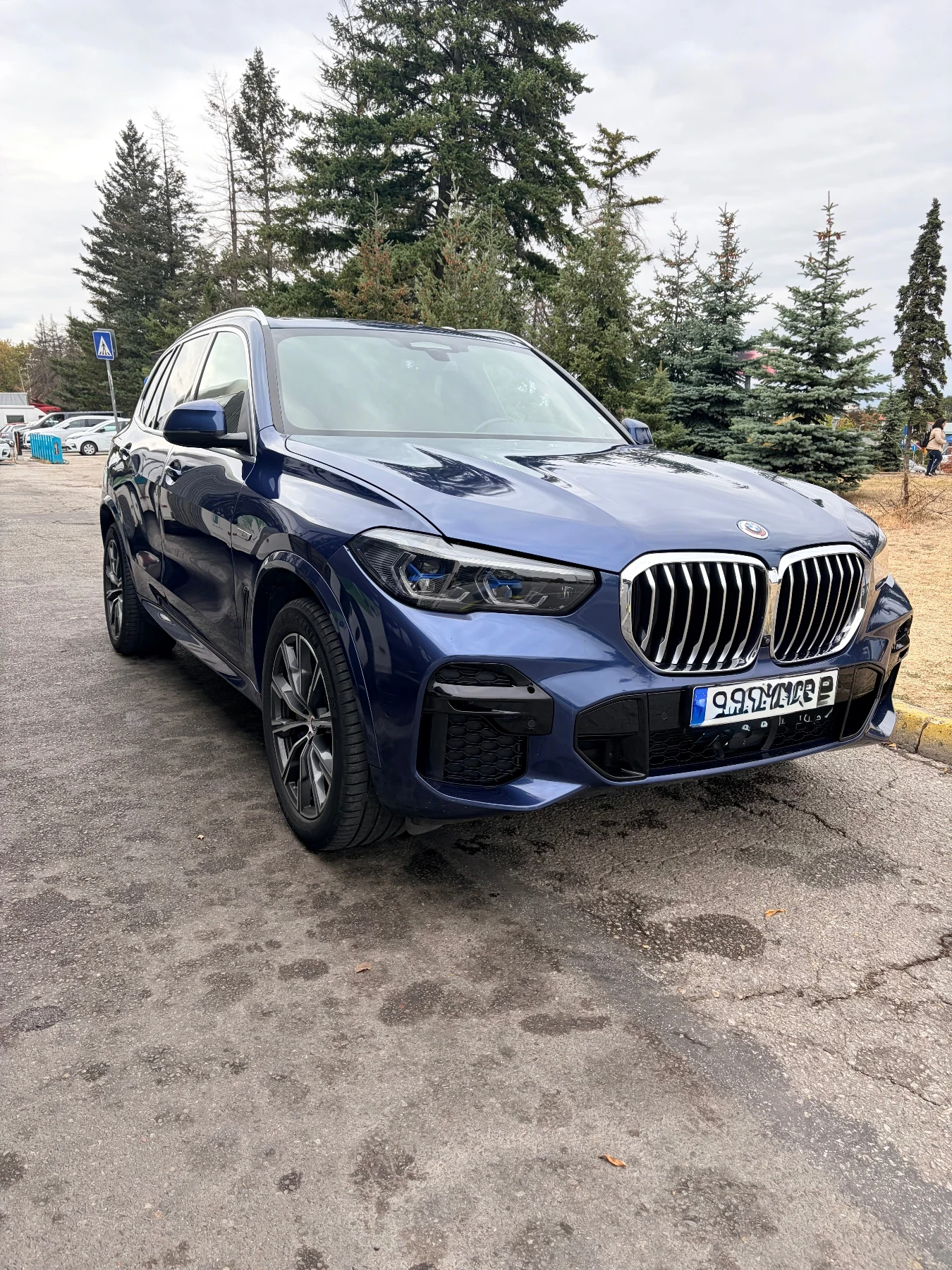 BMW X5 45E