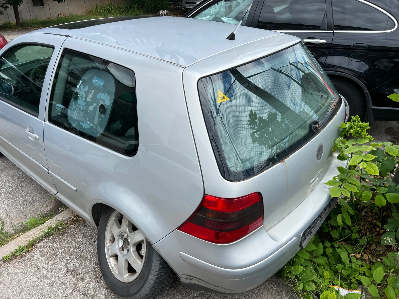VW Golf