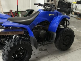Yamaha Wolverine, снимка 5