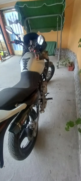 Honda Varadero | Mobile.bg    2