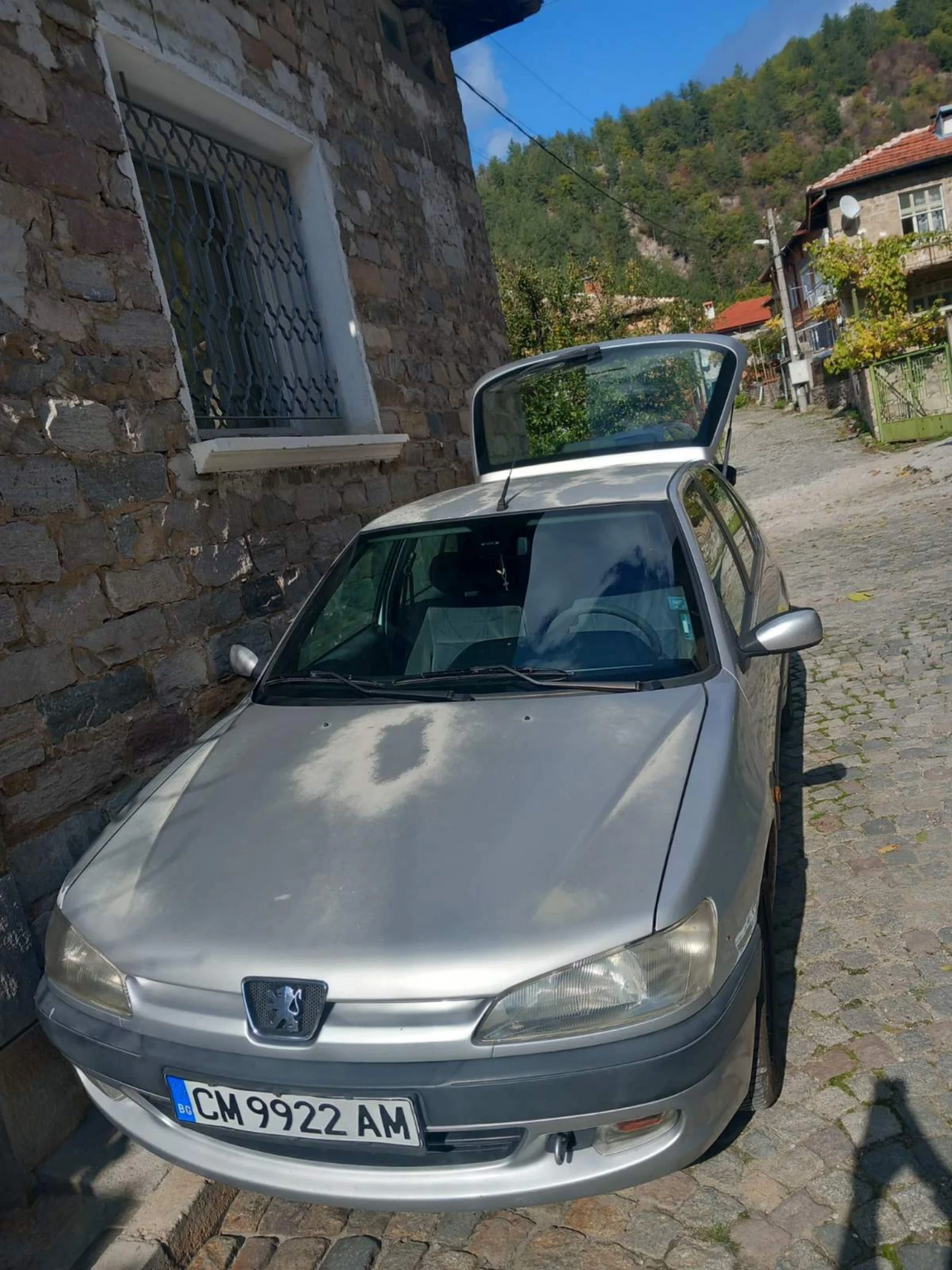 Peugeot 306 С Газова уредба , снимка 1