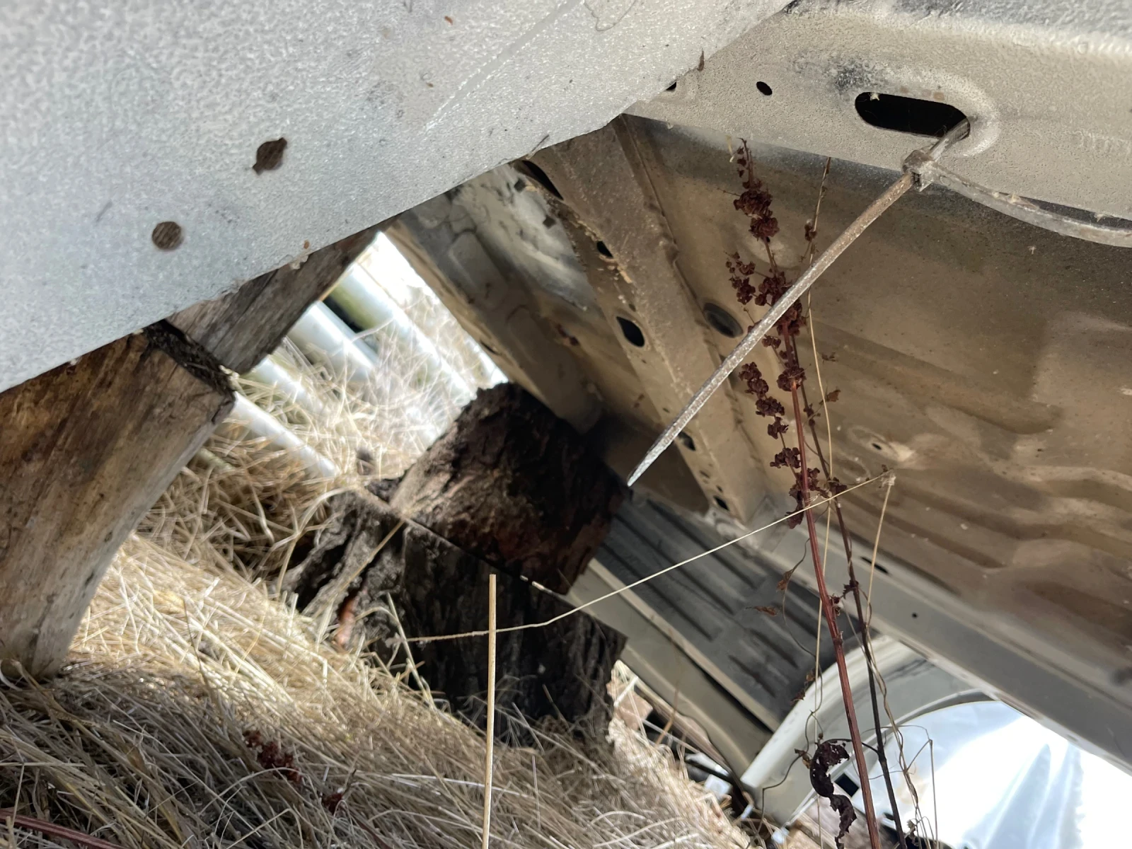 Iveco 35S18 ����� | Mobile.bg � ����������� 15