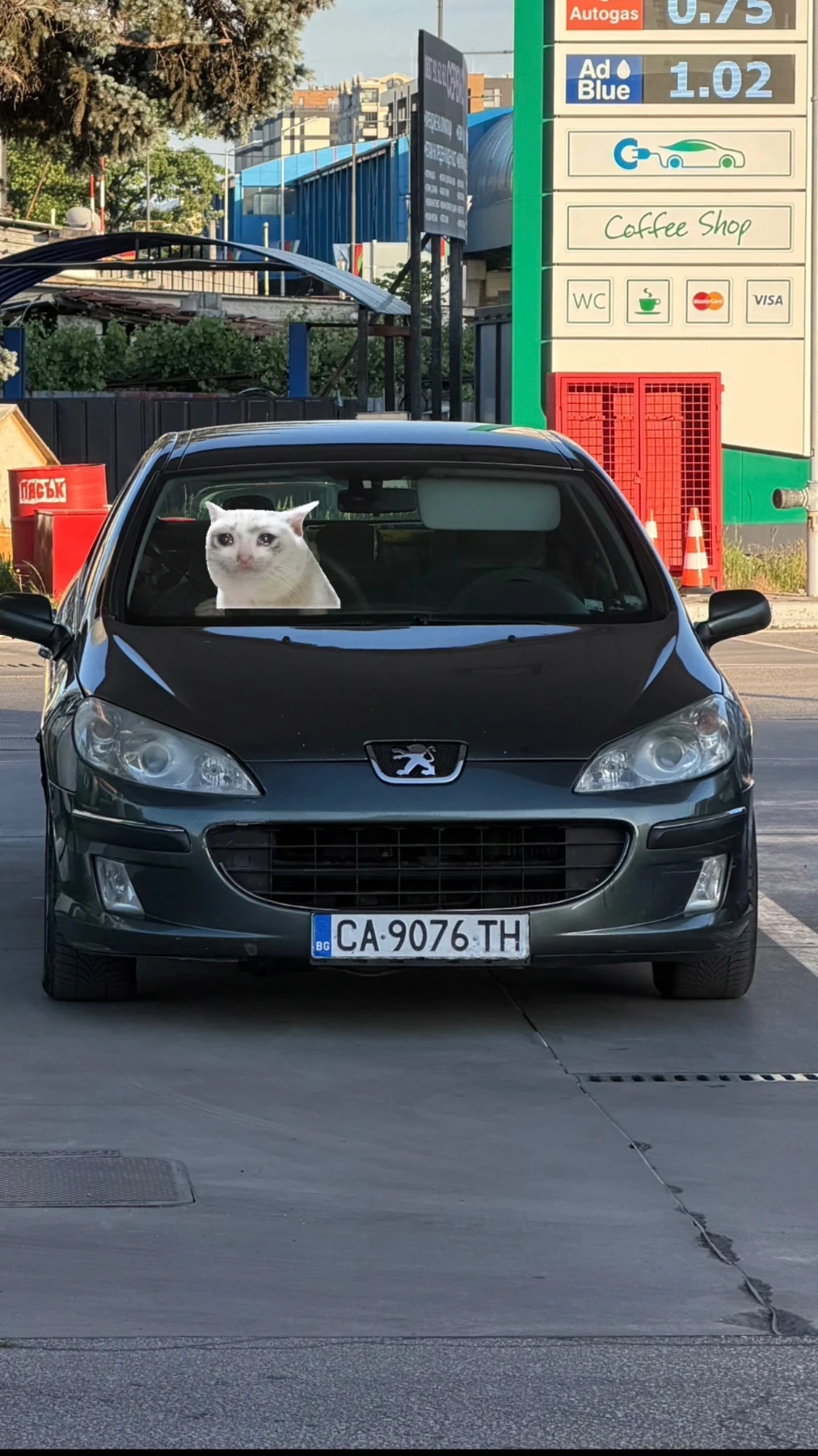 Peugeot 407 2.0HDI, снимка 9 - Автомобили и джипове - 54806543