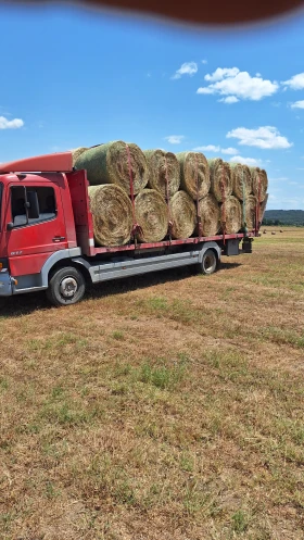 Mercedes-Benz Atego 817  | Mobile.bg    9