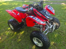 ����� �� �������� �� Honda Trx TRX 300  2007 �������