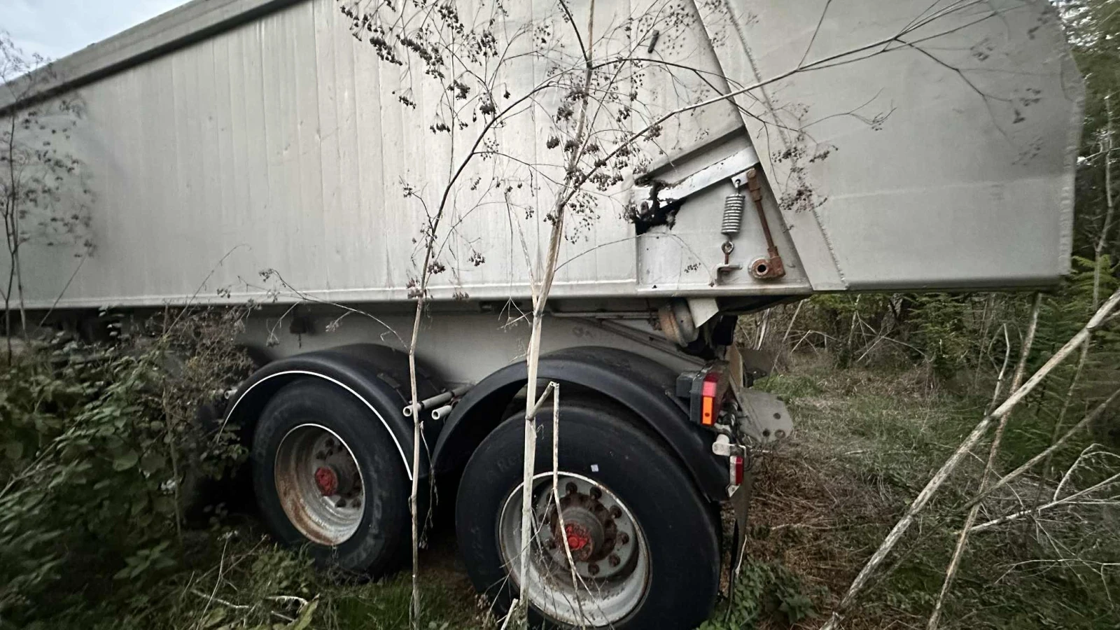  Schwarzmuller | Mobile.bg   5