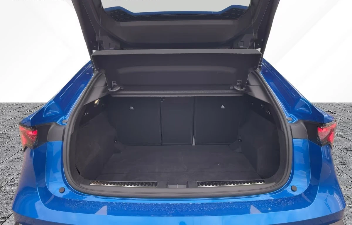 Renault Rafale ESPRIT-ALPINE/200HP/PANO/360/HUD/H&K/LED/653g - изображение 6