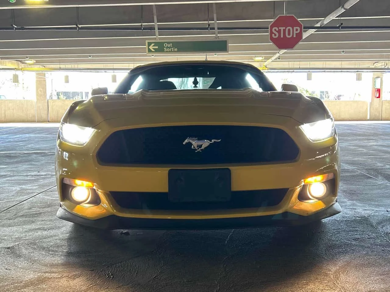 Ford Mustang * GT * CARFAX * ОПЦИЯ ЗА ФИНАНСИРАНЕ, снимка 6 - Автомобили и джипове - 54986274