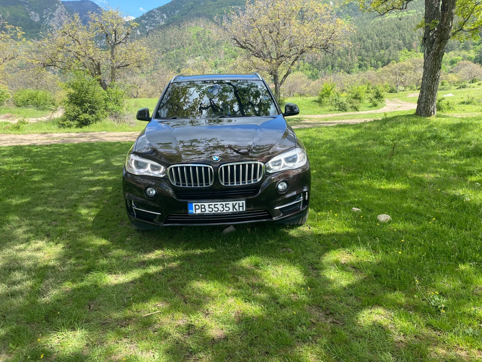 BMW X5 40 d 313 n1 | Mobile.bg   1