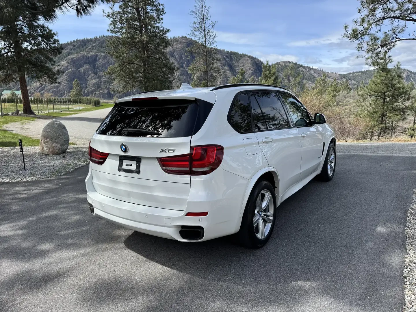 BMW X5 xDrive50i, снимка 6 - Автомобили и джипове - 54971800