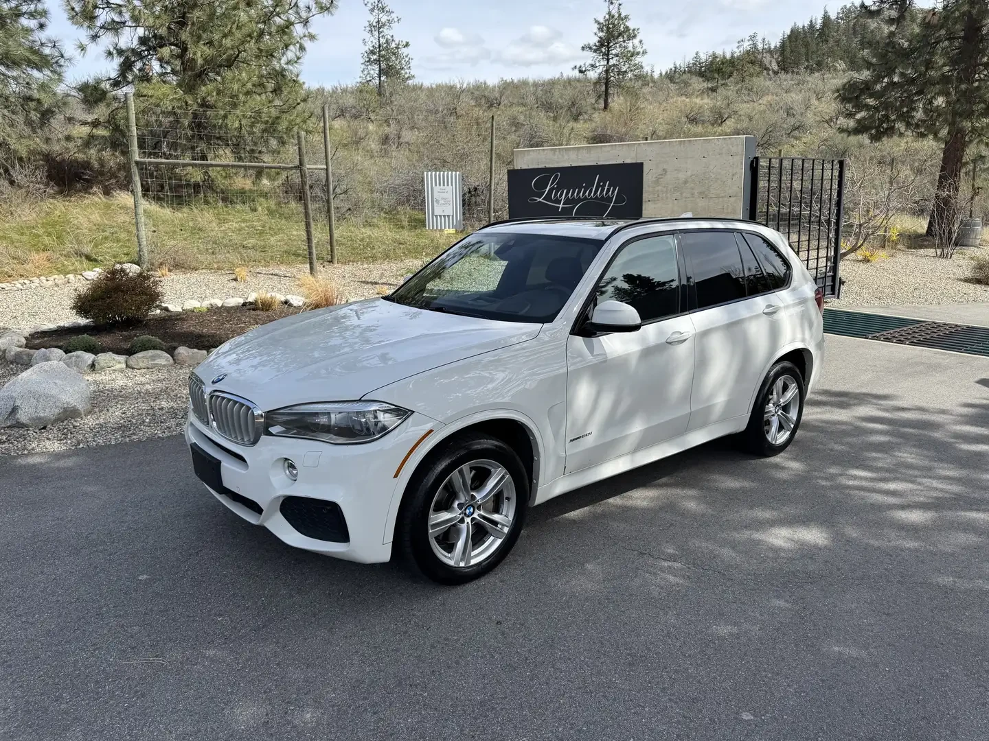 BMW X5 xDrive50i, снимка 3 - Автомобили и джипове - 54971800