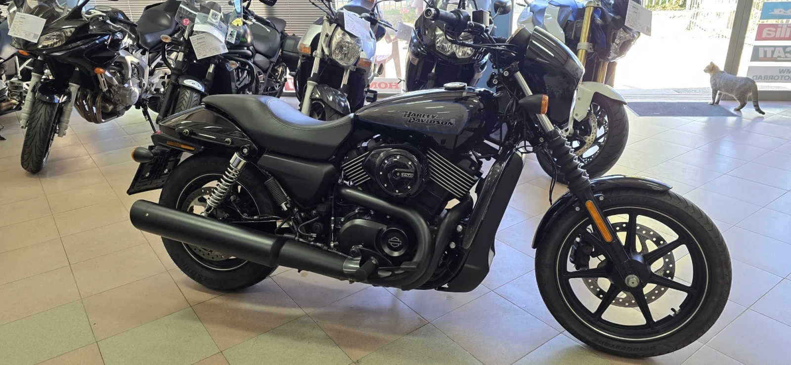 Harley-Davidson Street 750, снимка 5 - Мотоциклети и мототехника - 54889682