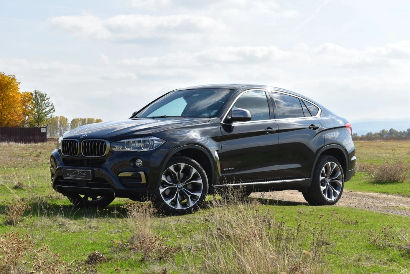 BMW X6 4.0D xDrive, снимка 2 - Автомобили и джипове - 54371270