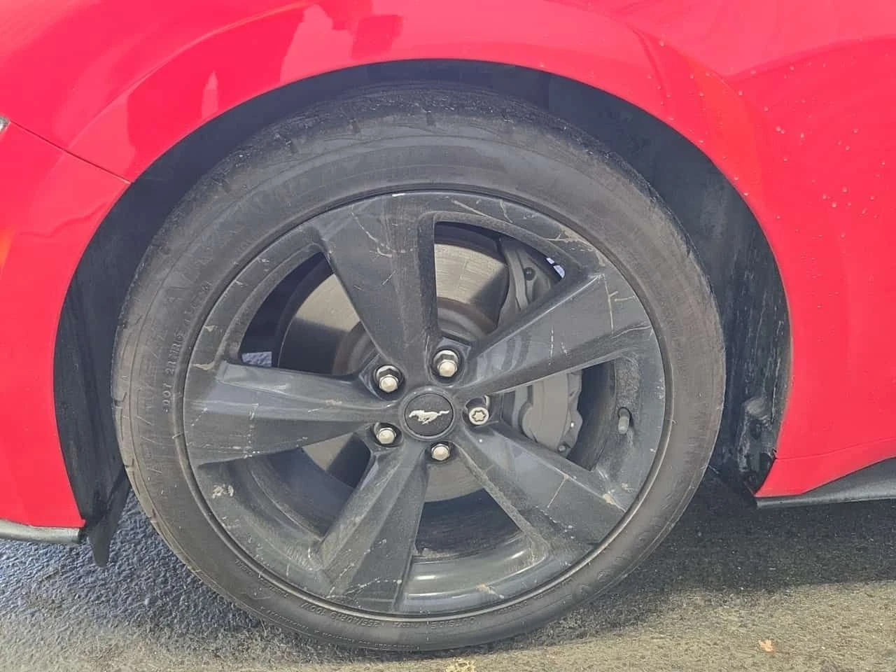 Ford Mustang GT| CARFAX| ��������������� | Mobile.bg � ����������� 6
