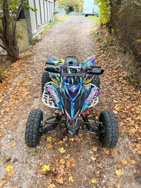Yamaha Raptor, снимка 1