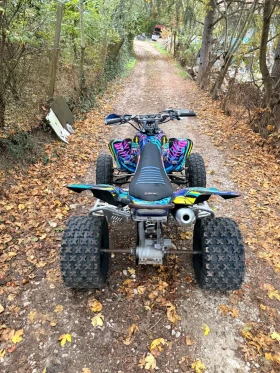 Yamaha Raptor, снимка 2