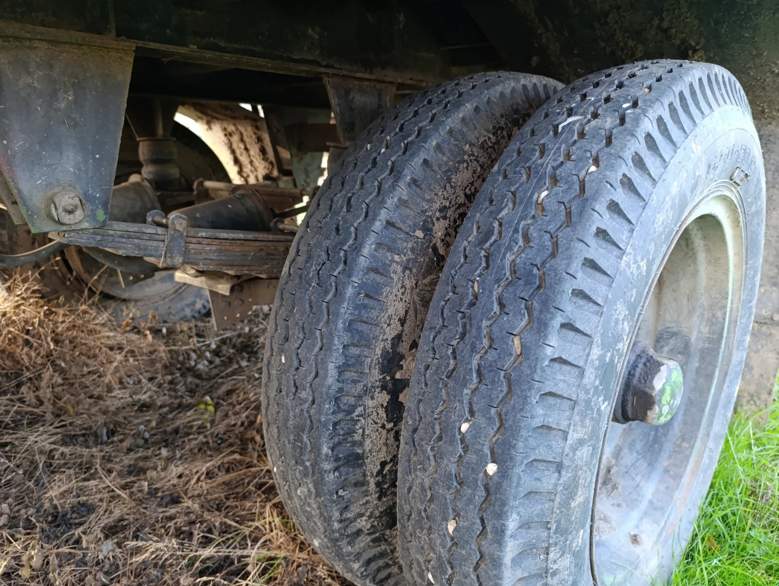 Друг вид Български Платформа - изображение 2