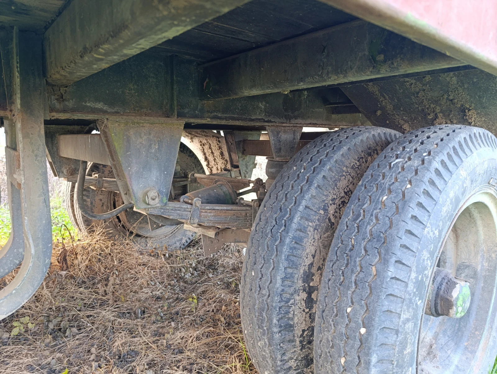 Друг вид Български Платформа - изображение 3