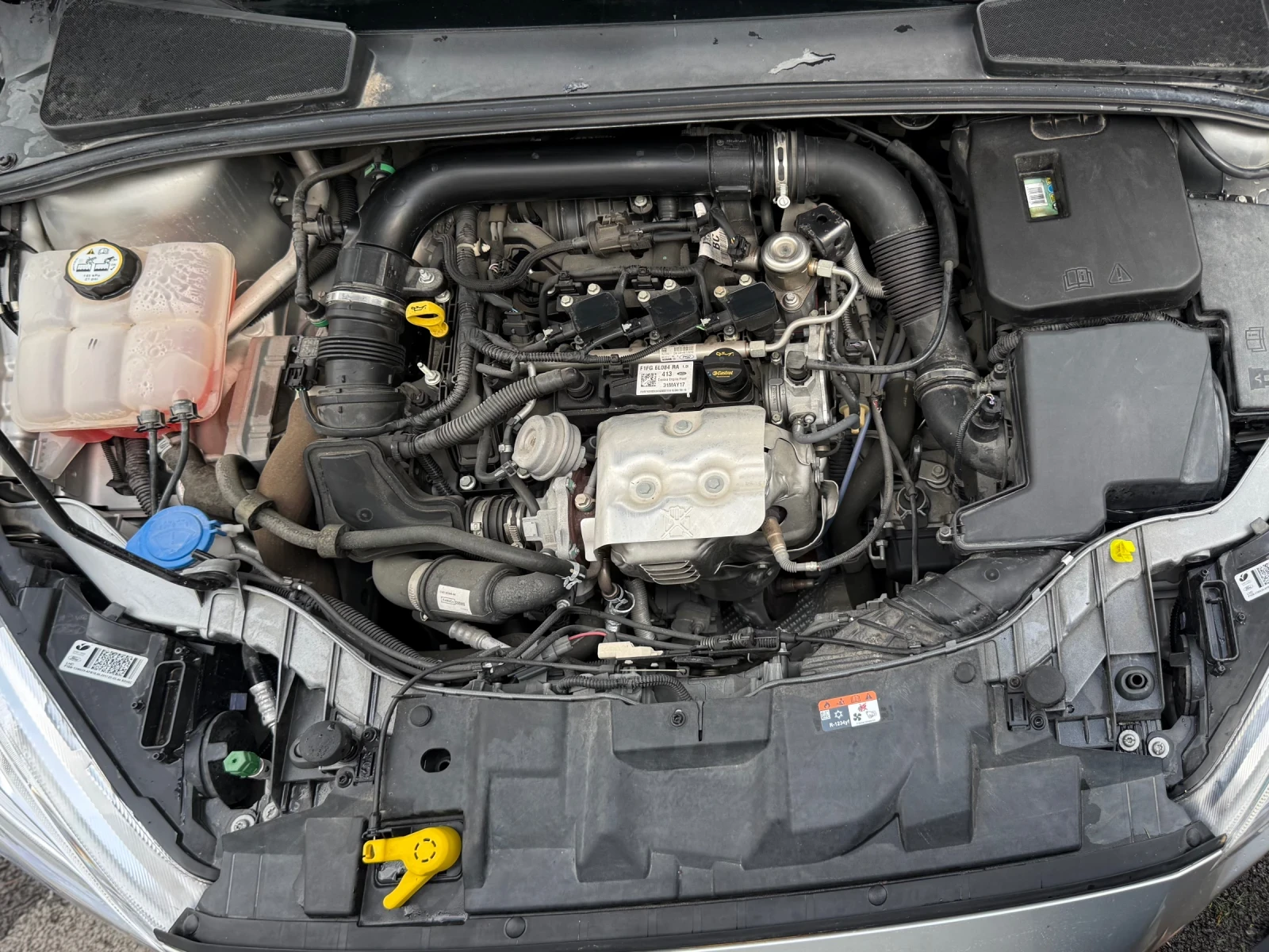 Ford Focus 8000 км., снимка 15 - Автомобили и джипове - 54669991