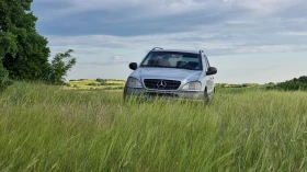 ������ Mercedes-Benz ML 230