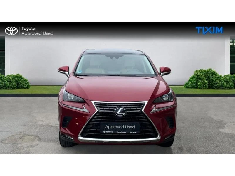 Lexus NX LUXURY - изображение 8