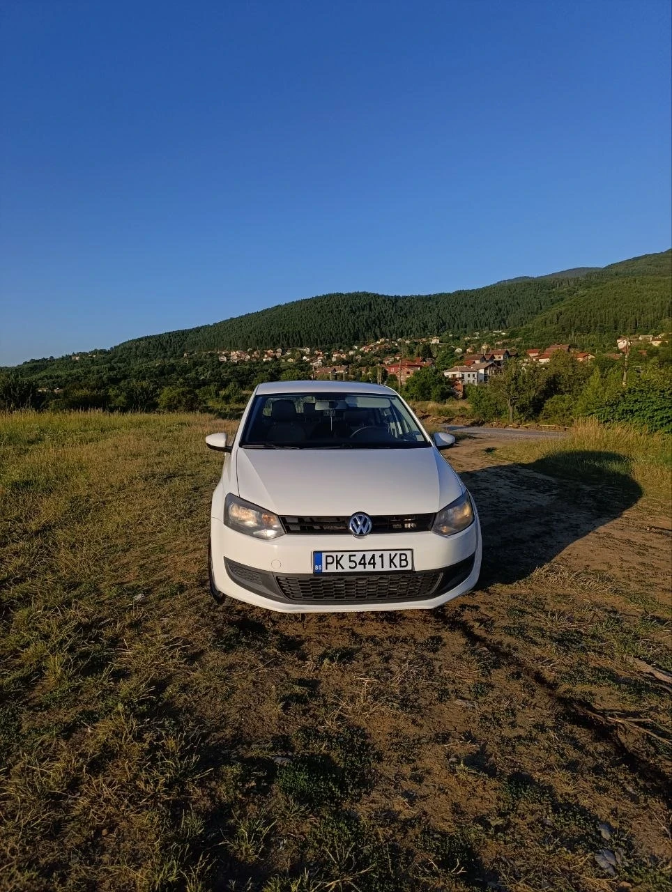 VW Polo