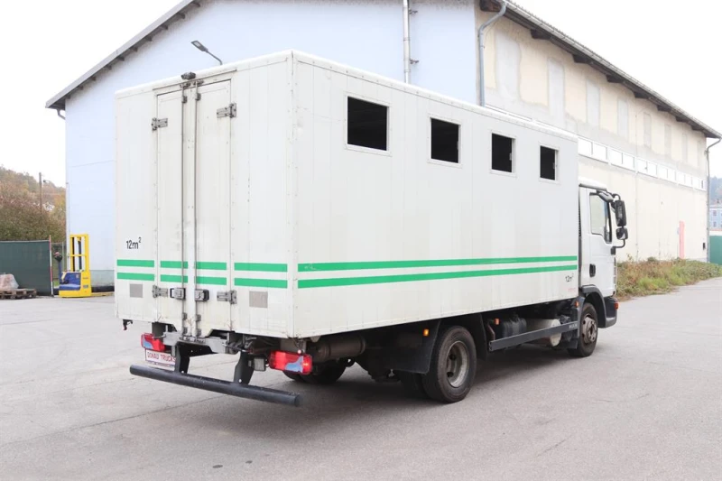 Man Tgl  8.180 Животновоз, ретардер, снимка 2 - Камиони - 52447565