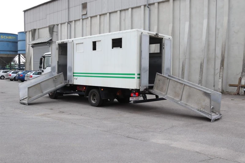 Man Tgl  8.180 Животновоз, ретардер, снимка 5 - Камиони - 52447565