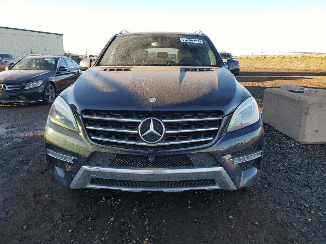 Mercedes-Benz ML 350 BLUETEC - изображение 5