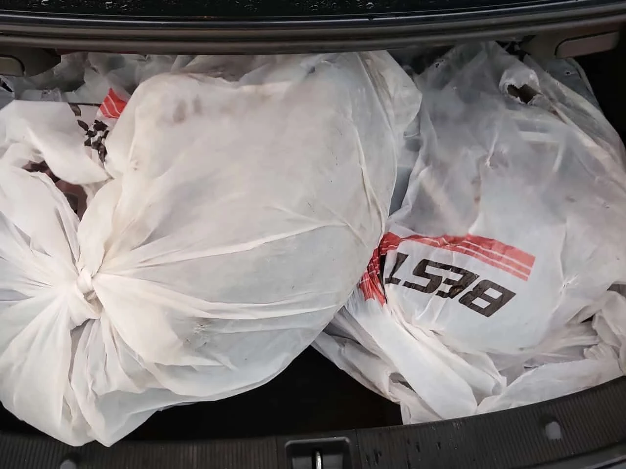 Mercedes-Benz E 55 * 550 * CARFAX * БЕЗ ПЪРВОНАЧАЛНА ВНОСКА, снимка 14 - Автомобили и джипове - 54133517