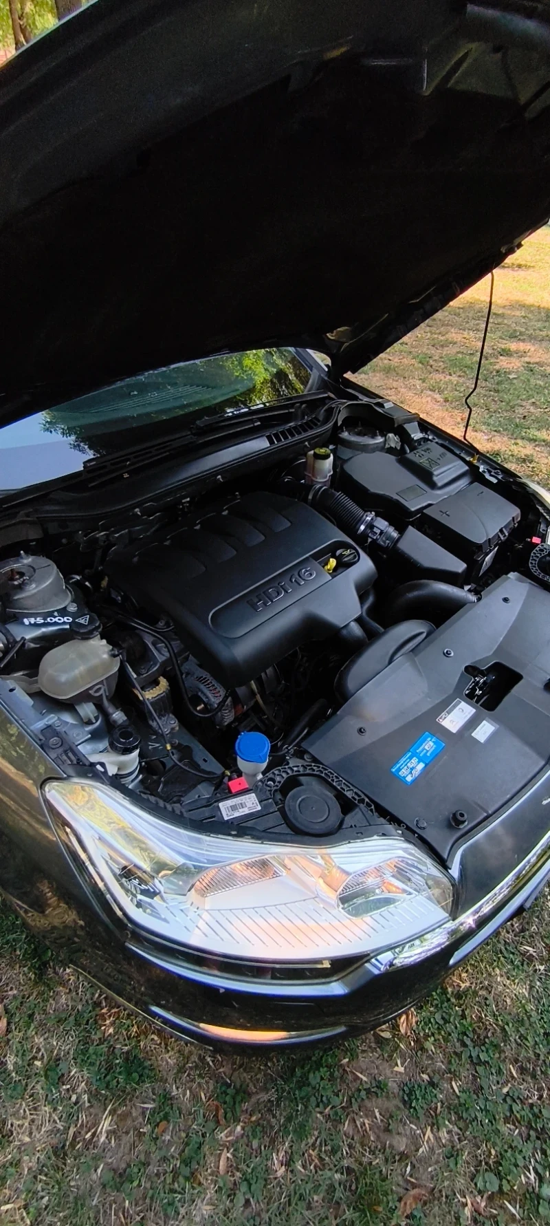 Citroen C5 2.0 HDI 140к.с, снимка 16 - Автомобили и джипове - 52080349