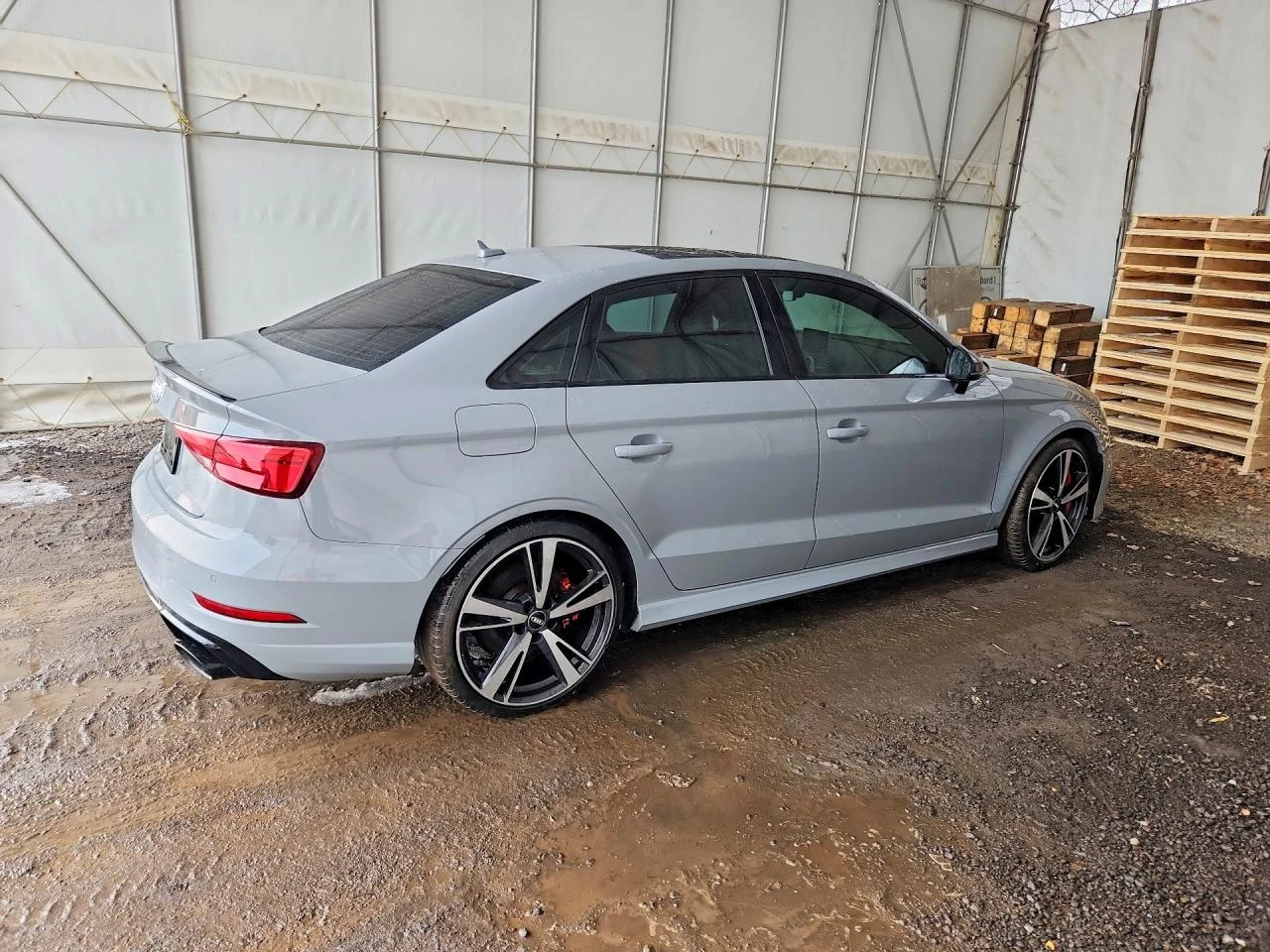 Audi Rs3 2.5 TFSI PANO VITRUAL CARPLAY ПОДГРЕВ NARDO B&O - изображение 3