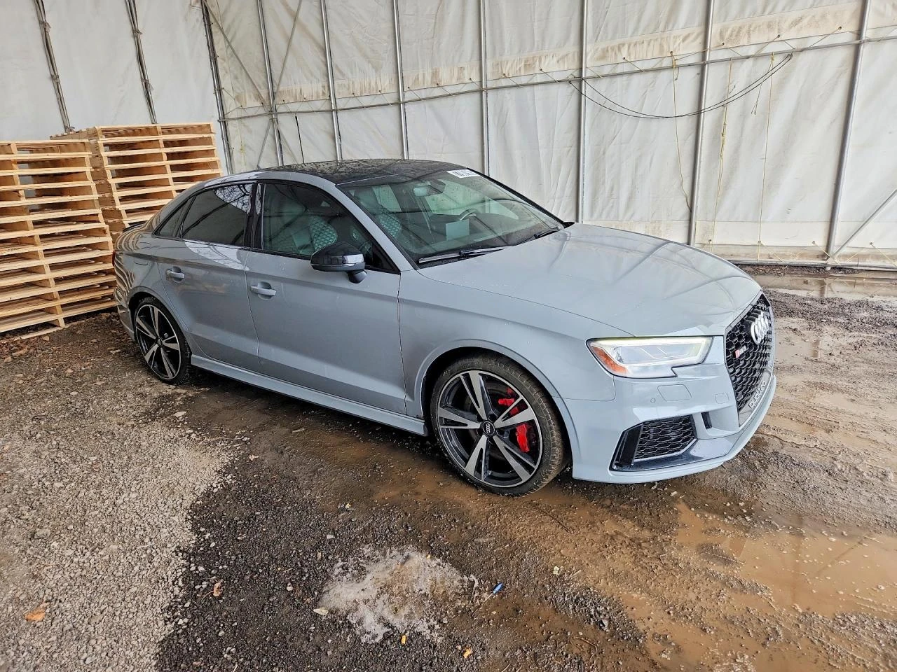 Audi Rs3 2.5 TFSI PANO VITRUAL CARPLAY ПОДГРЕВ NARDO B&O - изображение 4