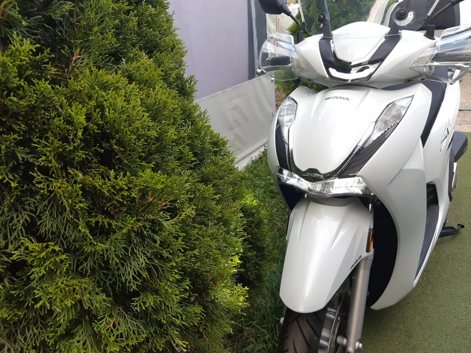 Honda Sh 350/TCS/Abs/ led - изображение 8