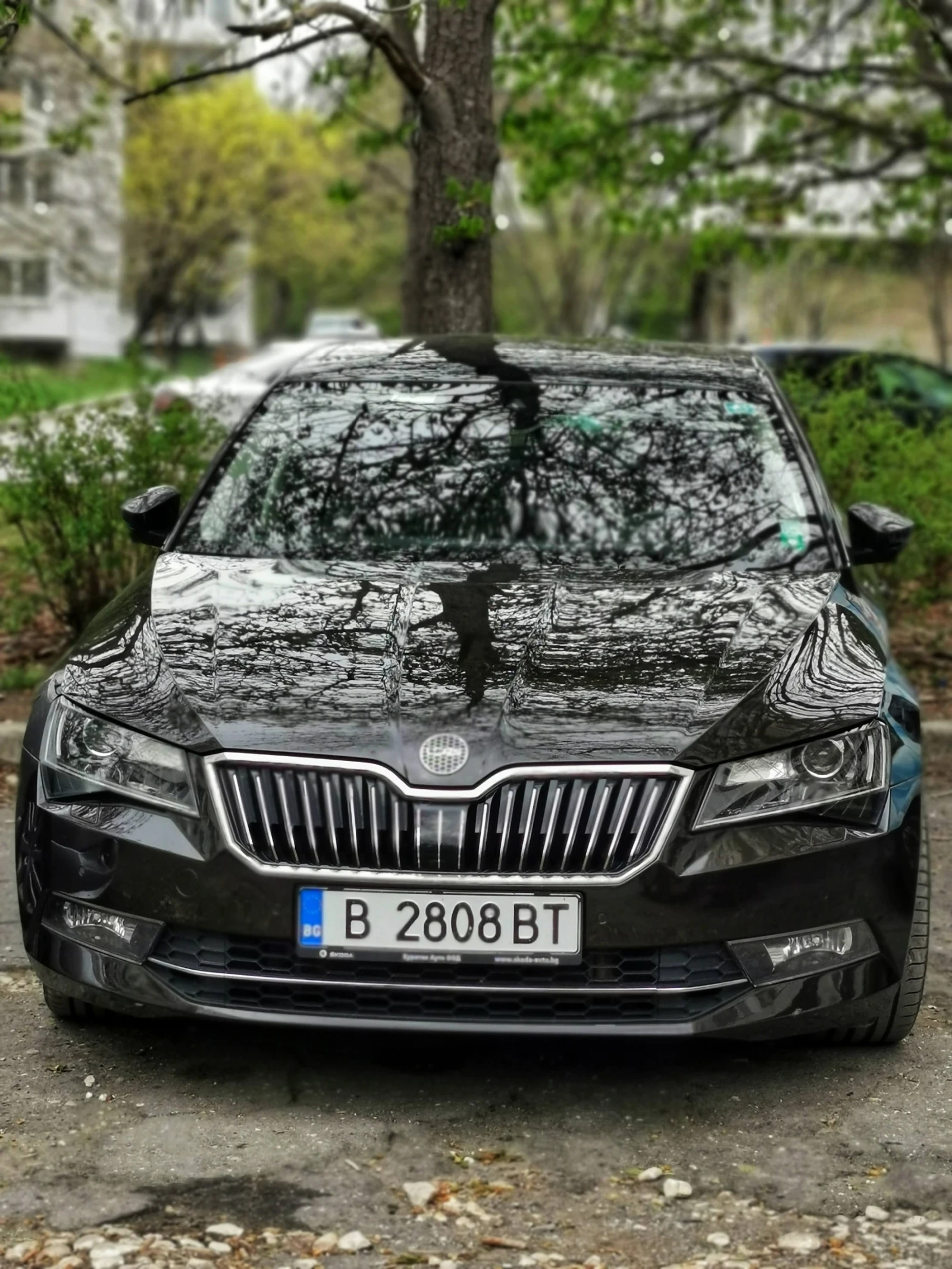 Skoda Superb L&K 4х4 7DSG, снимка 3 - Автомобили и джипове - 56070970
