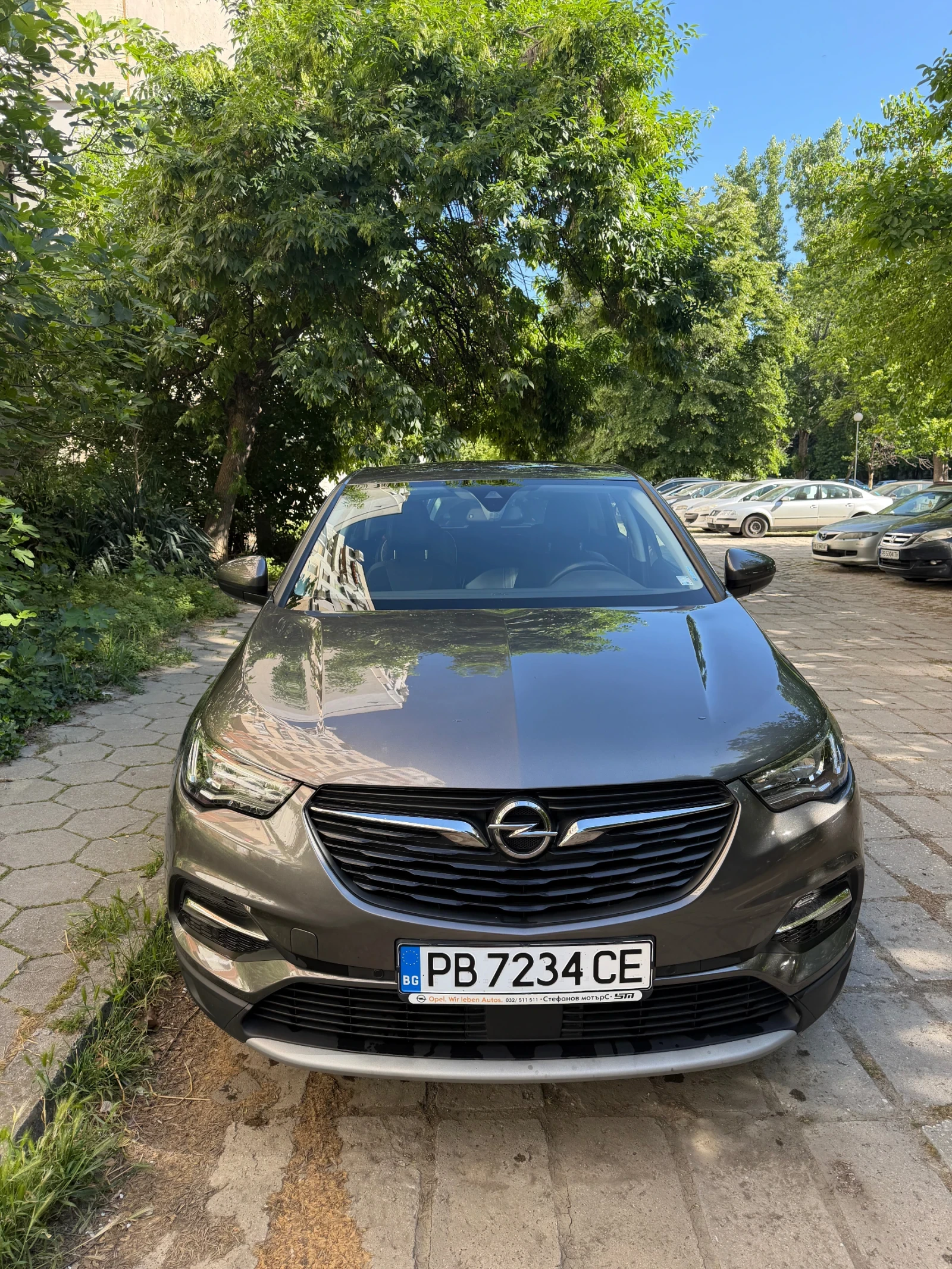 Opel Grandland X, снимка 2 - Автомобили и джипове - 54707592