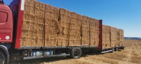 Scania 114 114l  | Mobile.bg    6
